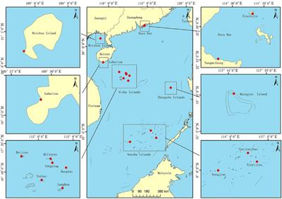 Genetic Diversity and Structure of Tropical Porites lutea Populations Highlight Their High Adaptive Potential to Environmental Changes in the South China Sea